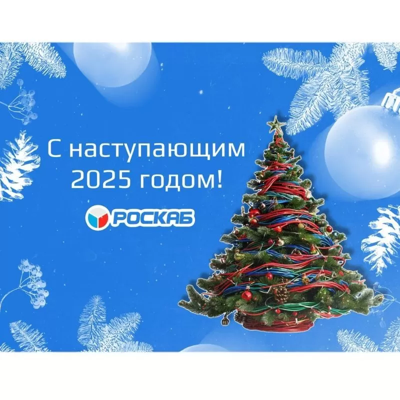 С наступающим Новым 2025 годом!